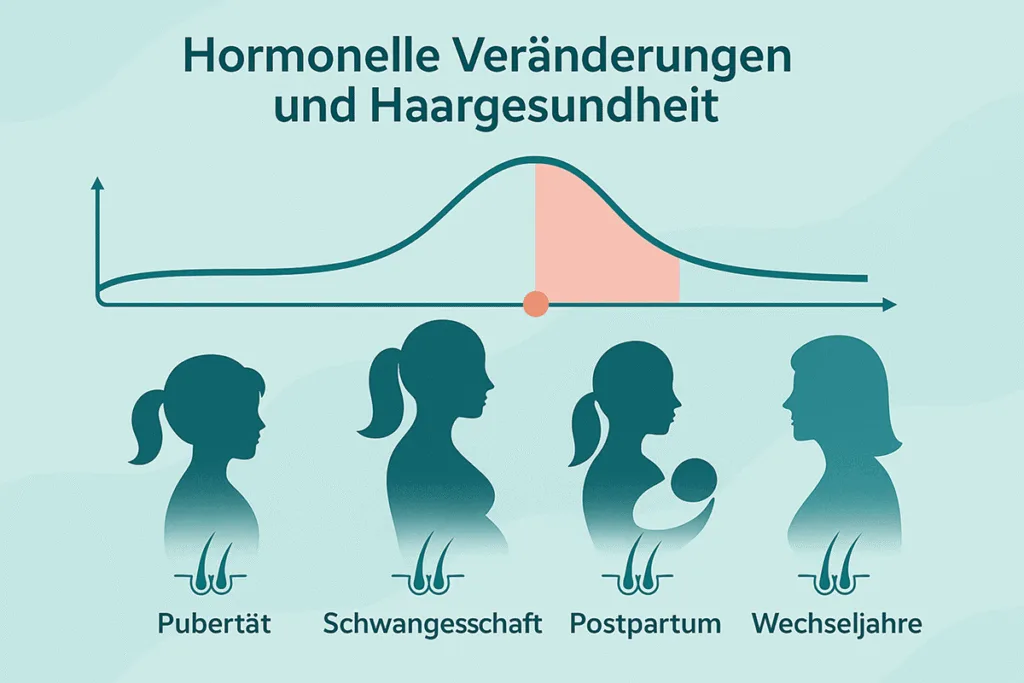 Infografik: Hormonelle Veränderungen im Leben einer Frau und ihr Einfluss auf Haarausfall, inklusive Schwangerschaft und Wechseljahre.